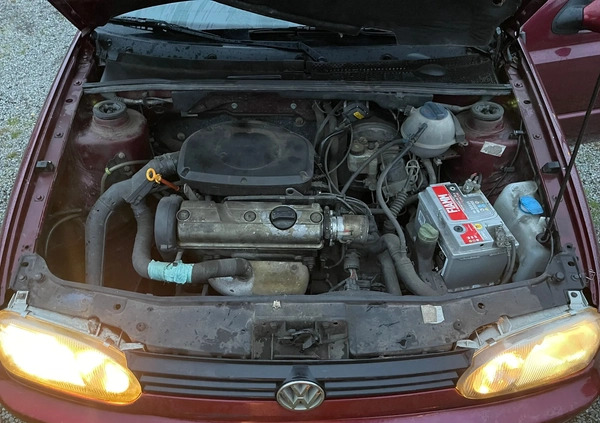 Volkswagen Golf cena 7900 przebieg: 118441, rok produkcji 1997 z Oleśnica małe 326